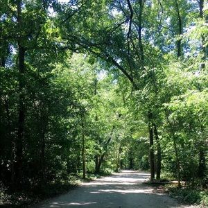 Meet your Posher, Ayanna